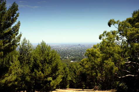 Spectacular views overlooking Adelaide city framed by native Australian bushland.